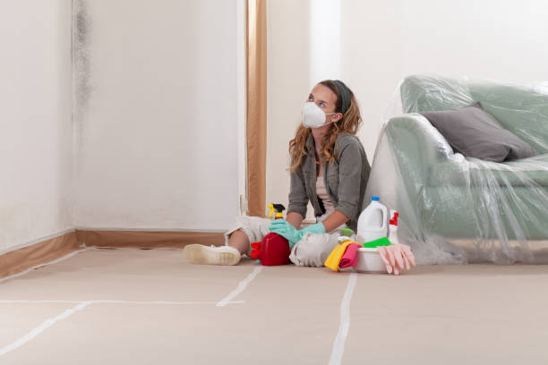 Reliable Mold Removal contractor in Gainesville, FL by 24 Hour Mold Removal